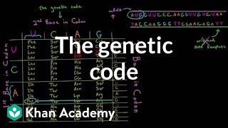 The genetic code [upl. by Sergeant35]