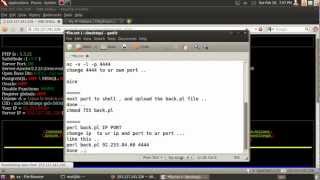 BackConnect From Shell  Server  To BackTrack Using SSH  NC [upl. by Nama56]