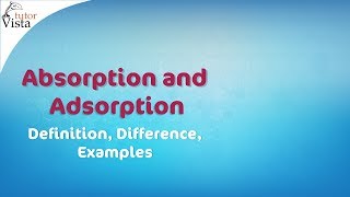 Absorption and Adsorption  Definition Difference Examples [upl. by Ydospahr]