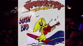 The Magnetix  Surfin Bird live in Moscow 13022016 [upl. by Retsevel777]