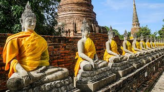 Unlock Inner Peace and Happiness 10 Profound Buddha Quotes That Will Change Your Life [upl. by Acinorehs]