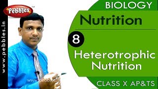 Heterotrophic Mode of Nutrition in Plants  Macmillan Education India [upl. by Dine692]