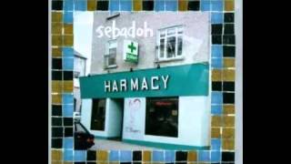 Sebadoh  On Fire [upl. by Priebe]