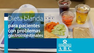 Dieta blanda para pacientes con problemas gastrointestinales [upl. by Henriques]