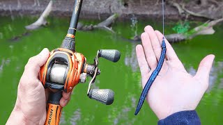 Catch 15x MORE Bass  TRY THIS Bass Fishing Tips [upl. by Affer731]