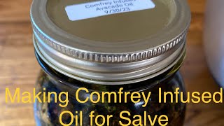 Ep 164 SUPER EASY Making Comfrey Infused Oil for Salve [upl. by Finstad]