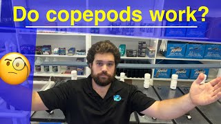 Don’t add copepods to saltwater reef aquarium before watching this [upl. by Alten]