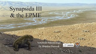 Lecture 14 Synapsida III amp the EndPermian Mass Extinction Feb 22 [upl. by Cirederf]