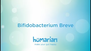 Probiotics Bifidobacterium Breve amp Lactobacillus Rhamnosus Helps Asthma  Inflammation T cell [upl. by Leeda]