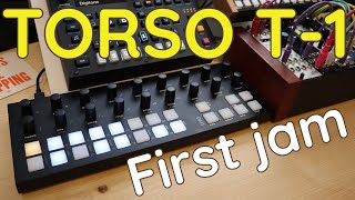 First Jam with Torso T1 algorithmic sequencer Deluge Digitone Eurorack modular [upl. by Aneret774]