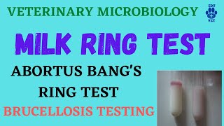 Milk Ring TestBrucellosis ABRT [upl. by Eilrahc]