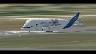 AIRBUS BELUGA XL 4 TAXING amp DEPARTING FROM TOULOUSE ON A ROUTINE FLIGHT [upl. by Eicart]