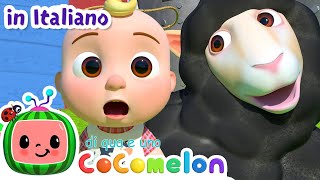 Baa Baa pecora nera  CoComelon Italiano  Canzoni per Bambini [upl. by Leonie881]