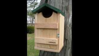 Screech barn barred owl boxes for sale [upl. by Kroll]