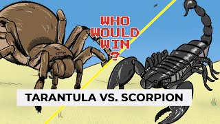 Ever wondered who’d win in a fight between a scorpion and tarantula A venom scientist explains [upl. by Barina]