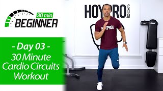 30 MIN BEGINNER at Home Cardio Workout  BEGINNERS 03 [upl. by Burd]