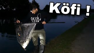 Köderfisch angeln auf dicke Kanal Aale [upl. by Nosreh]