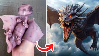 Before amp After Animals Growing Up Amazing Animal Transformation 💥 short tiktok animals [upl. by Hendrickson]