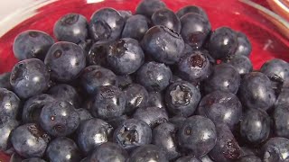 The hidden benefits of blueberries [upl. by Harneen]