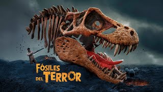 Criaturas Fosilizadas Descubre los Monstruos de la Prehistoria que Parecen de Películas de Terror [upl. by Yreffej]