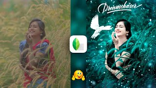 Snapseed Green And Bird Effect Photo Editing Tutorial  Snapseed Background Colour Change Tricks [upl. by Sara]