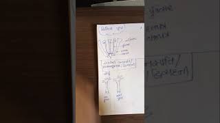 L10 Description of homothallic and heterothallic plants [upl. by Clute]