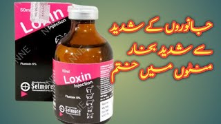 LOXIN Flunixin maglumine  NSAID analgesic use in animals urdu hindi [upl. by Eellehs]