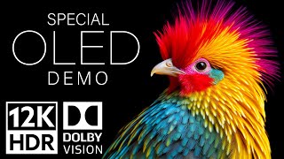 12K HDR Video ULTRA HD 120fps Dolby Vision  Special Oled Demo [upl. by Nerrot]