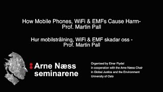 Hur mobilstrålning WiFi amp EMF skadar oss Prof Martin Pall  How WiFi amp EMFs Cause Harm [upl. by Stodder662]