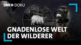 Krieg im Forst Die gnadenlose Welt der Wilderer  SWR Doku [upl. by Lambrecht]