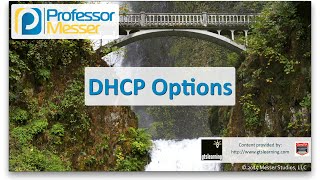 DHCP Options  CompTIA Network N10006  13 [upl. by Shreeves]