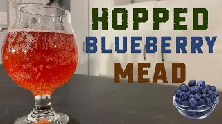 How to Make a Hopped Blueberry Session Mead Super Crushable [upl. by Irrab]