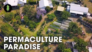 Hugely Abundant 1Acre Permaculture Homestead Tour – Limestone Permaculture Farm Revisit [upl. by Rafa602]