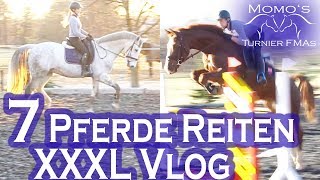 RHUSTY KOMMT  ALLE 7 PFERDE REITEN  XXXL VLOG [upl. by Ardnuaek]