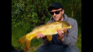 Catching a Koi carp Damhead [upl. by Mandler545]