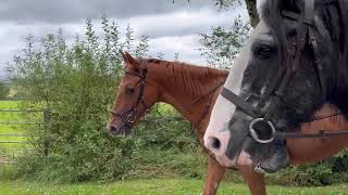 CnG Equine Charity riding down the Quarry [upl. by Harrat420]