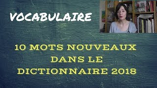 10 mots qui entrent dans le dictionnaire en 2018 [upl. by Ydnyc]