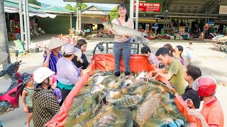 Use 3wheeled Vehicle Harvesting Lots Of Big Fish Goes To Countryside Market Sell  Free Bushcraft [upl. by Pitarys506]