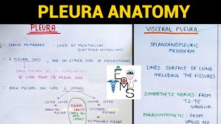 Pleura Anatomy 15  Thorax Anatomy [upl. by Rusty]