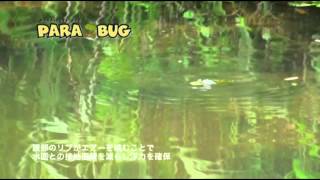 MEGABASS MOVIE 073 PARA BUG [upl. by Blackman248]