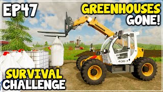 GREENHOUSES SOLD  FS22 Survival Challenge  Episode 47 [upl. by Yxor]