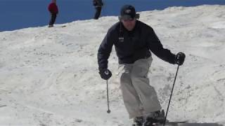 How To Ski Moguls  Blue Line Mogul Skiing Technique Video Demo [upl. by Emmalynne]