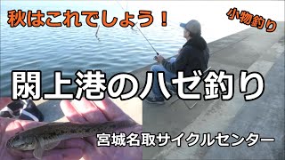 閖上港のハゼ釣り  宮城県名取市サイクルスポーツセンター  ハゼ釣り  小物釣り [upl. by Caspar]