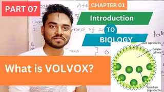 What is Volvox Biology Class 9th  Introduction to Biology by Sir Ramesh Bheel [upl. by Jaimie111]