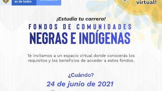 Webinar  Fondo de Comunidades negras e indígenas [upl. by Gavrilla267]