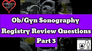 ObGyn Sonography Registry Review [upl. by Ennylyak469]