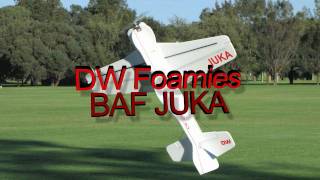 3D Fun Flying  DW Foamies 48quot BAF JUKA [upl. by Atenik806]