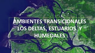 Ambientes transicionales quotLos deltas estuarios y humedalesquot [upl. by Philan646]