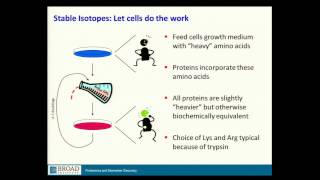 BroadE Quantitative methods in proteomics [upl. by Eimmis]