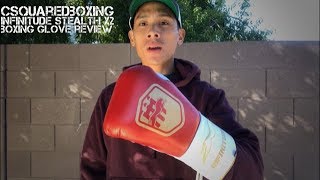 Infinitude Stealth X2 Boxing Glove REVIEW [upl. by Allac910]